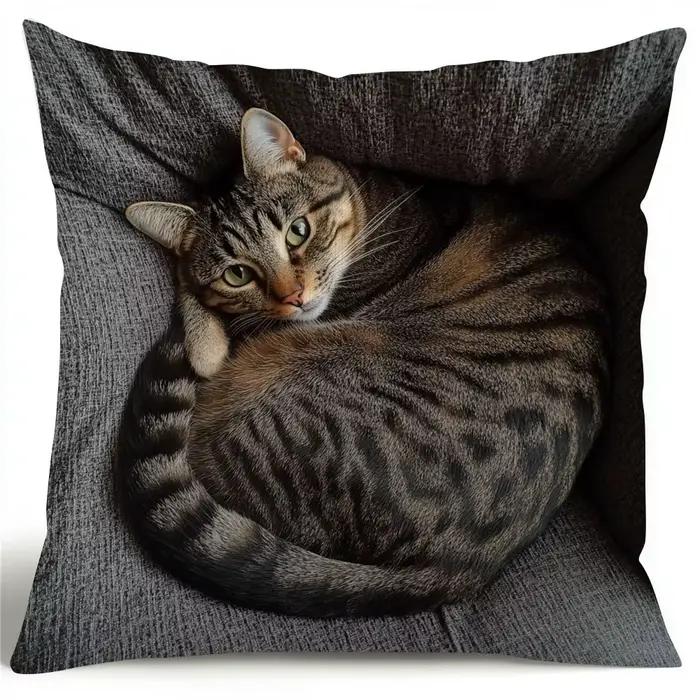 Housse de coussin Adorable chat maladroit, Design d'hiver avec chaton maladroit, étui de coussin pou