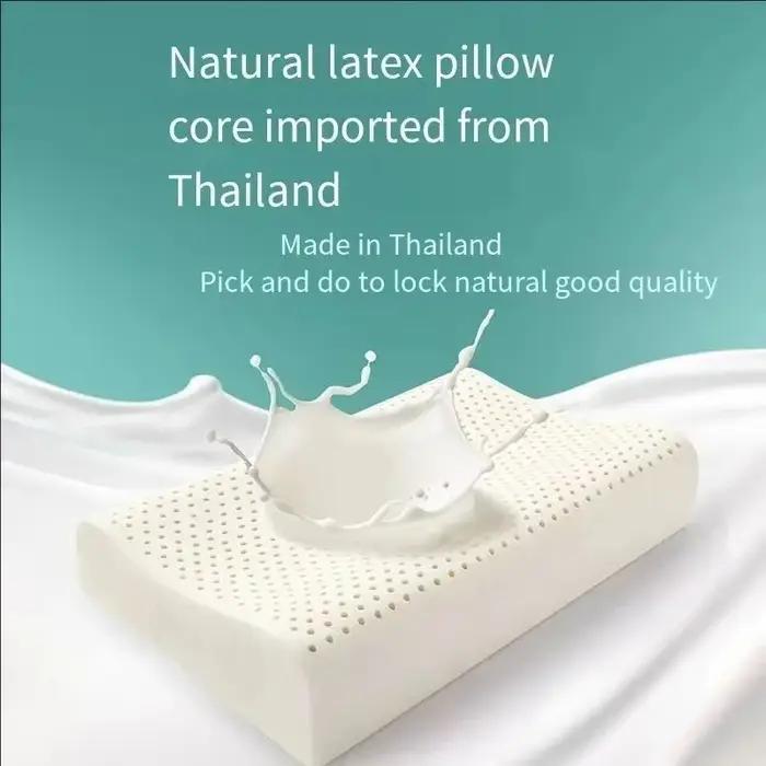 Oreiller en Latex respirant pour adulte, noyau en caoutchouc, conception de contour ergonomique, aid