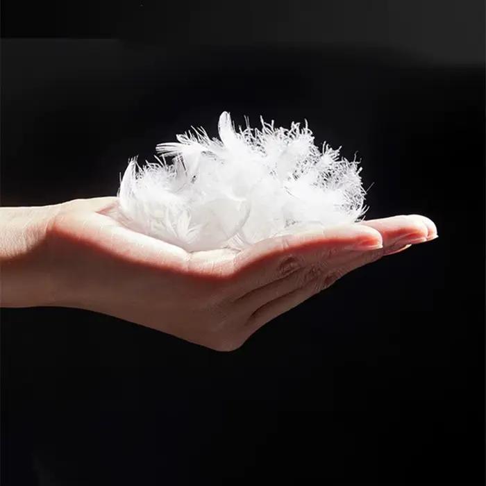 Oreiller 100% plumes de canard blanc