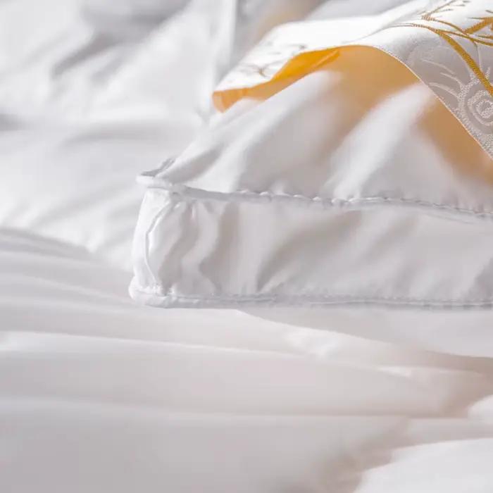 Couverture matelassurera en duvet d'oie blanc, couette de luxe, couette de literie, insert d'athlon, chaleur toutes saisons, double, pleine, taille Queen