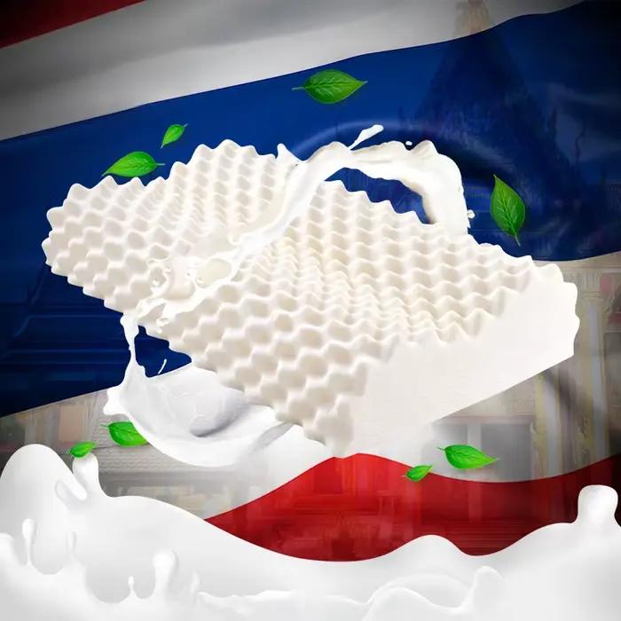 Oreiller en Latex Naturel Pur de Thaïlande, Remédial, Protection du Cou, des Vertèbres, Soins de Santé, Orth4WD, Rebond Lent, 40x60, 30x50