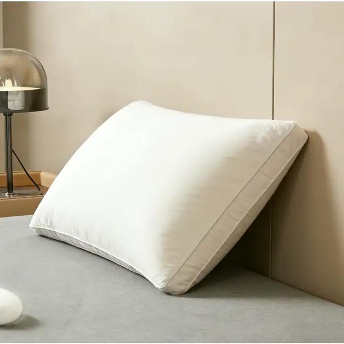 Oreiller de luxe en soie de mûrier, 1200G, 48x74cm, hypoallergénique, coussin de couchage confortable, coque en coton, hôtel, oreillers de lit de haute qualité