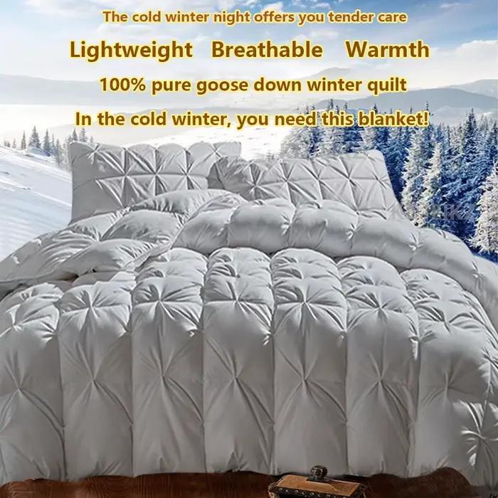 Couette de luxe 100% duvet de canard blanc