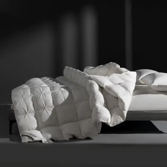 Couette en duvet d'oie blanche, couette épaisse, couverture chaude d'hiver pour Couple simple, Double, King Size