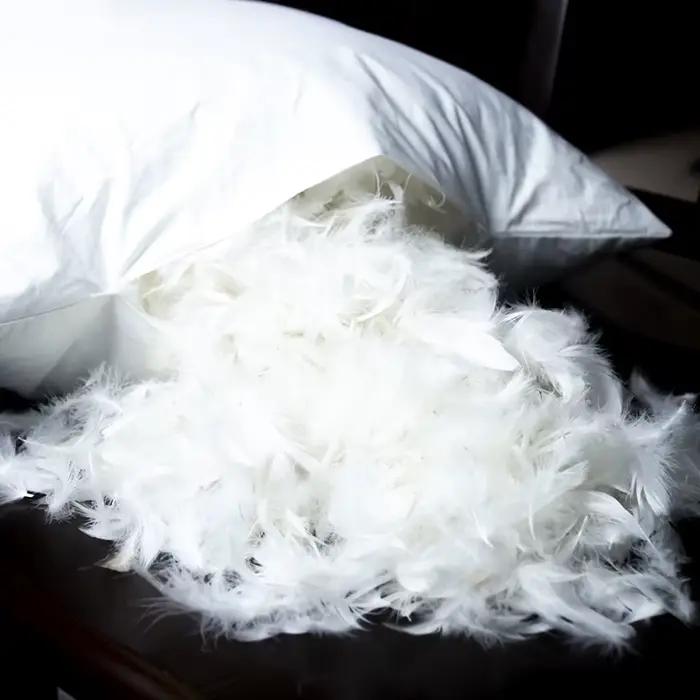 Oreiller en duvet d'oie 100% coton