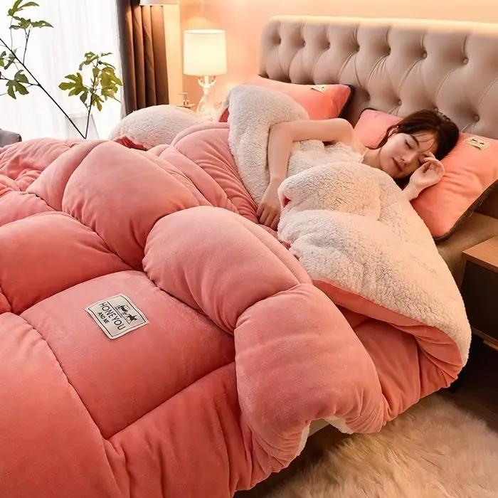Noyau de couette chaud épais pour la maison, Double face en velours et laine d'agneau, couverture d'automne et d'hiver pour dortoir, noyau en velours Double face chaud